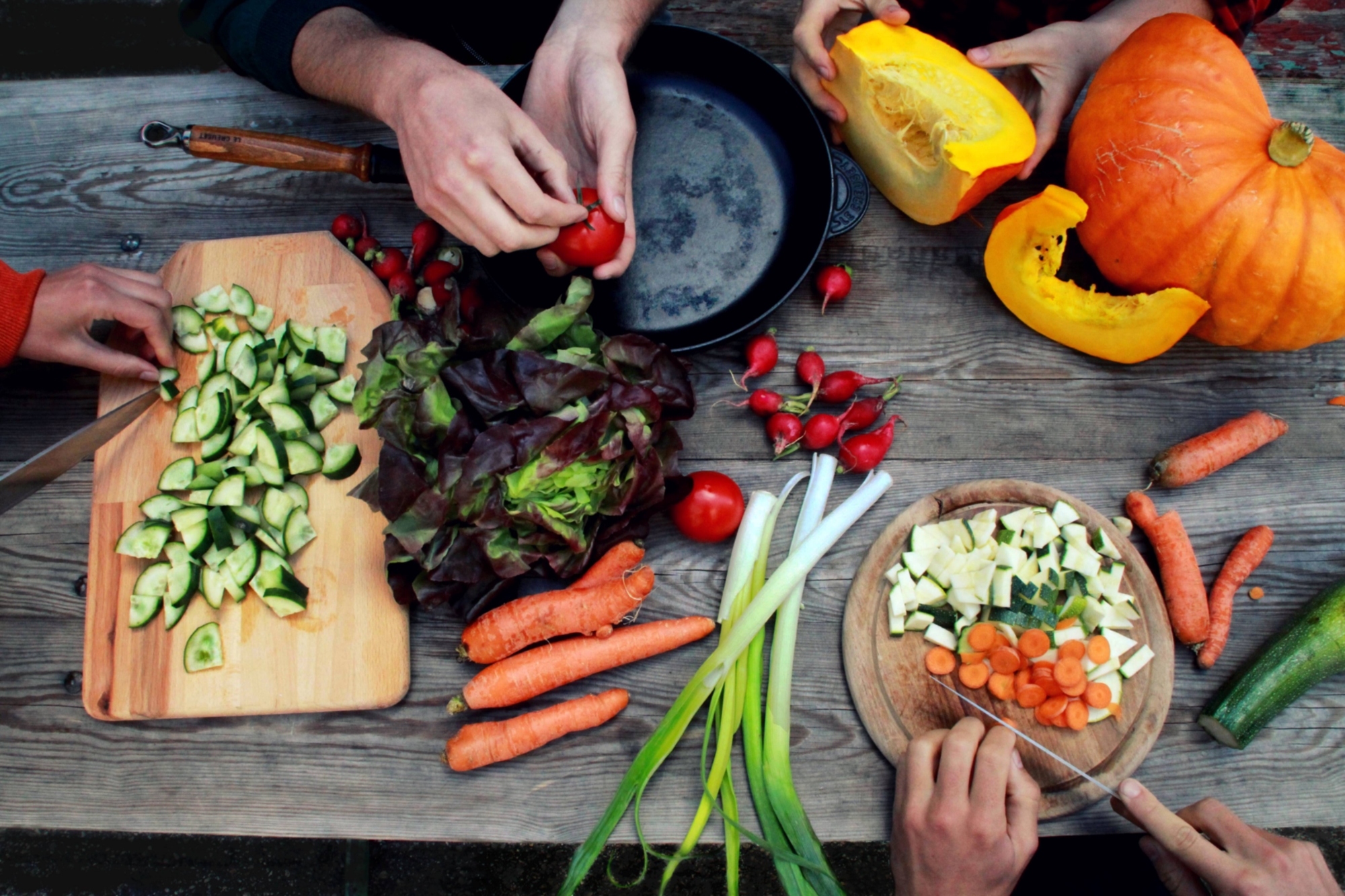 Raupe Immersatt - Das Foodsharing Café