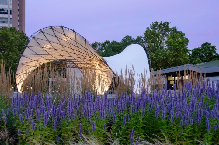 BioMat-Pavillon 2021 (LightPRO Shell)