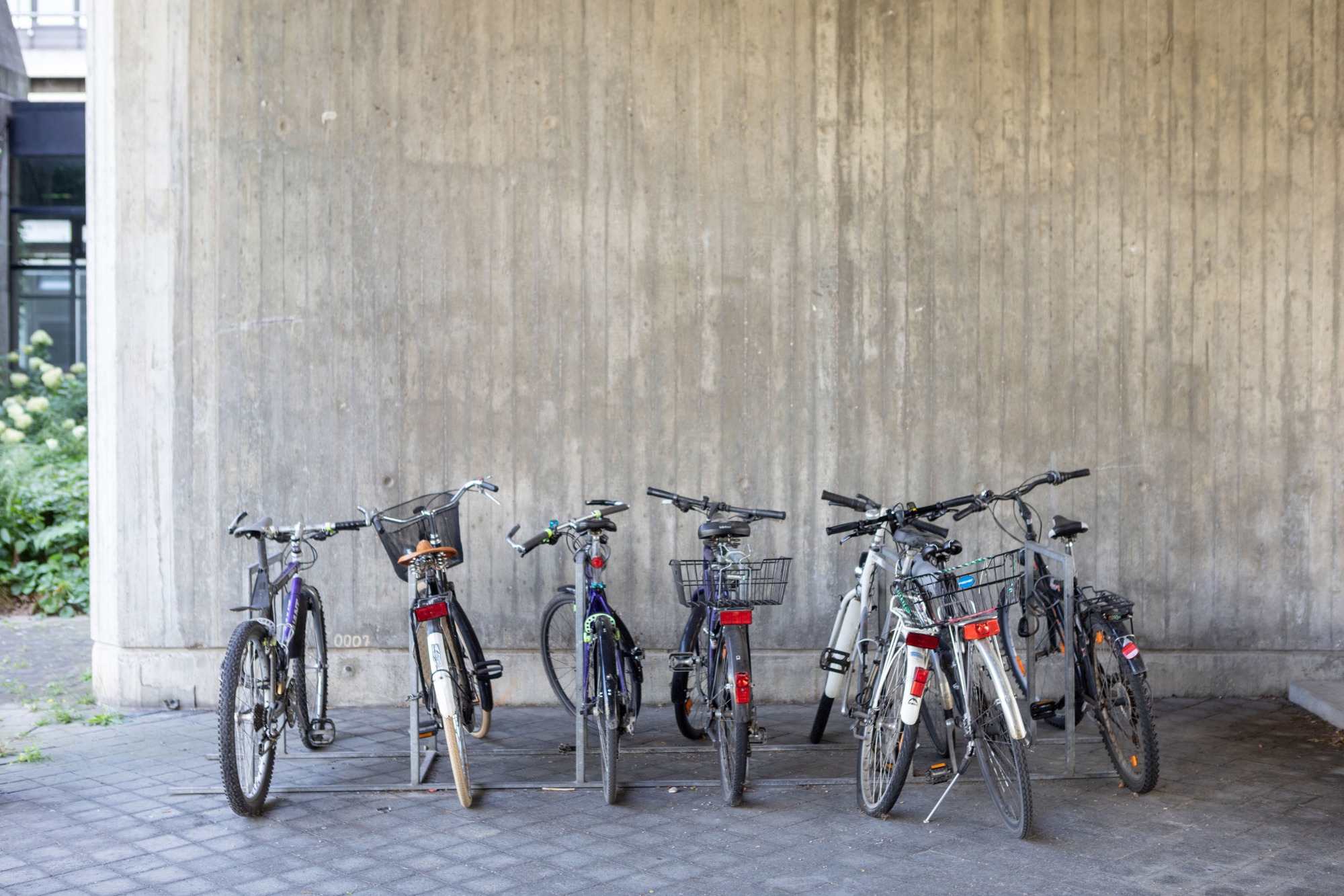 Fahrräder am Fahrradständer
