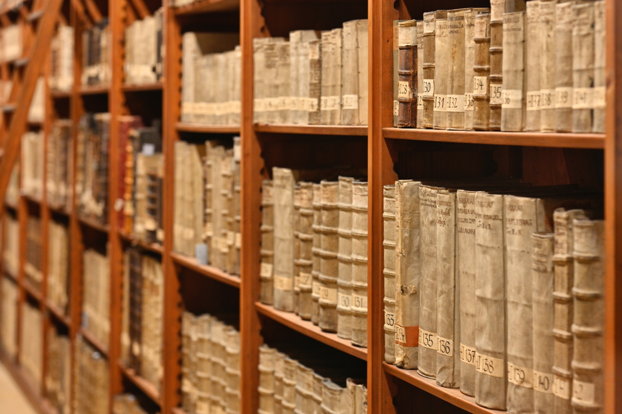 Dekorationsbild: Ein Regal mit sehr alten Büchern
