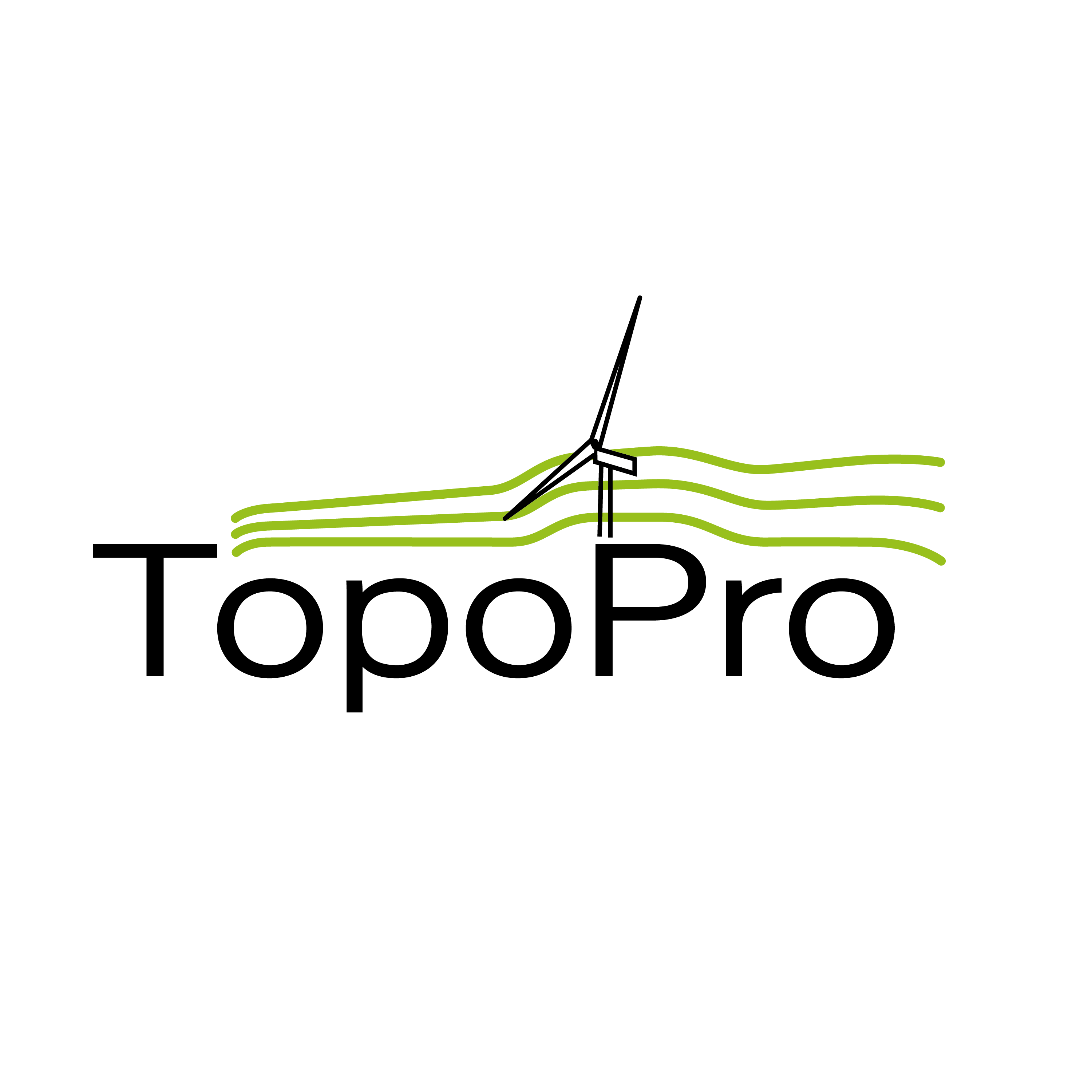TopoPro Research Project